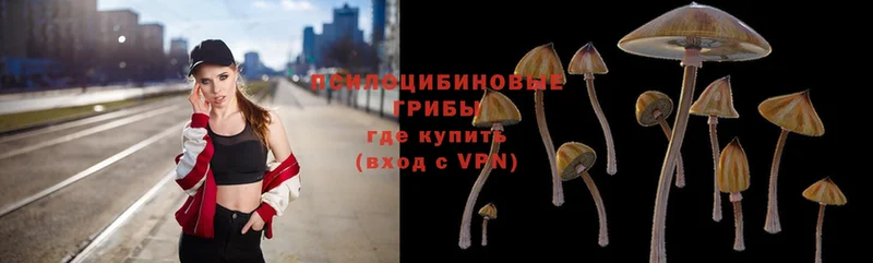 Галлюциногенные грибы Magic Shrooms  Верхний Уфалей 